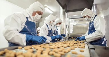 agroalimentaire_Plan de travail 1 Agroalimentaire